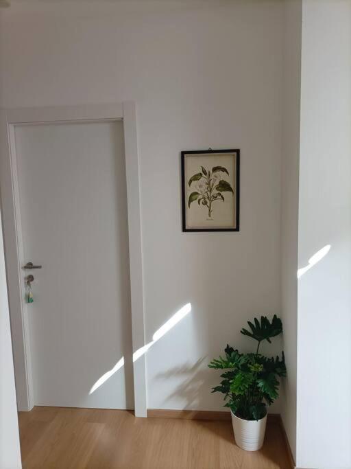 Loving My Rooms 1 - Deliziosa Mansarda In Centro Gorizia Extérieur photo